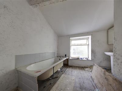 Picture 7